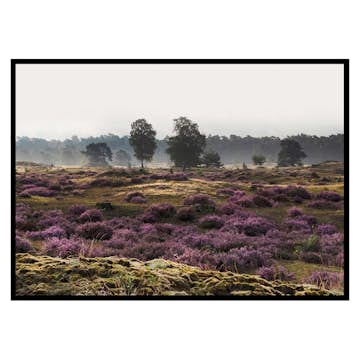 Poster Gallerix Veluwe Meadow