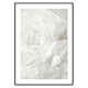 Poster Gallerix White Rose No2