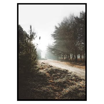 Poster Gallerix New Forest