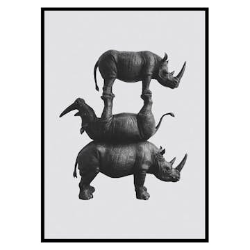 Poster Gallerix Three Rhinos