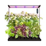 Hydroponisk Odlingslåda RobotGarden Med Startkit Svart