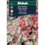 Frö Flox Weibulls Blushing Bride