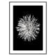 Poster Gallerix Dahlia BW