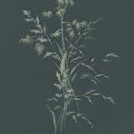 Fototapet Eijffinger Waterfront 300906