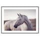 Poster Gallerix White Horse