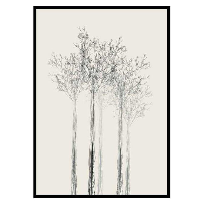 Poster Gallerix Sketched Trees