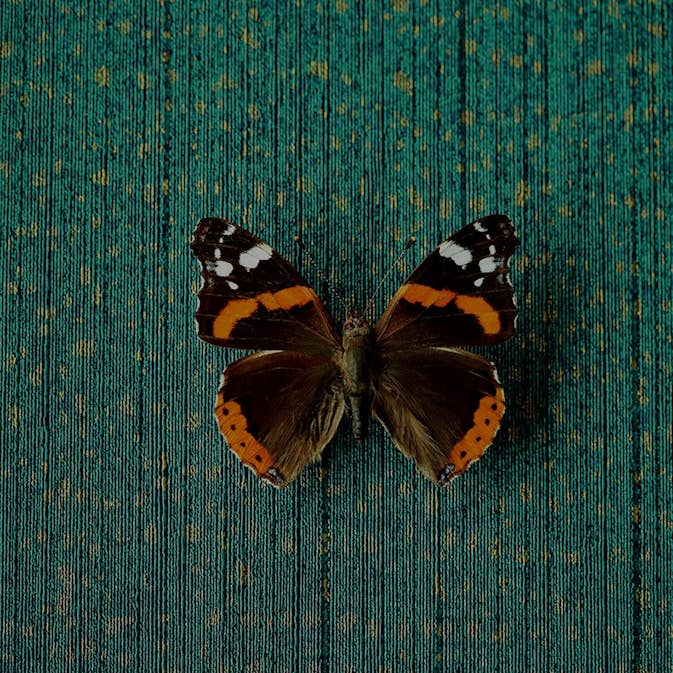 Tapet Eijffinger Museum 307351