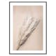 Poster Gallerix Pampas Grass