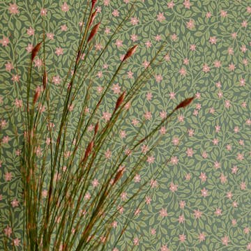 Tapet Eijffinger Posy 316055