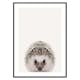 Poster Gallerix Baby Hedgehog