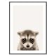 Poster Gallerix Baby Raccoon