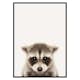 Poster Gallerix Baby Raccoon