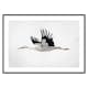 Poster Gallerix Watercolor Stork