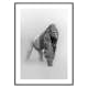 Poster Gallerix Faded Gorilla