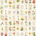 Fototapet Eijffinger PIP 2014 341086