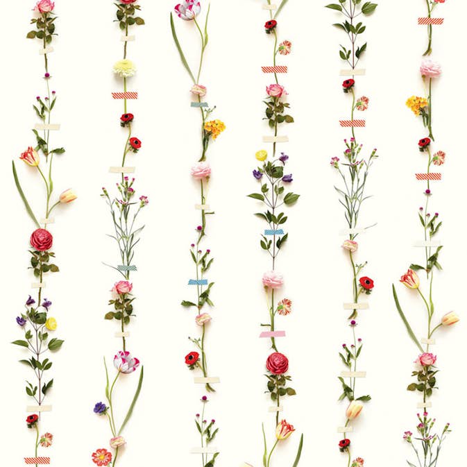 Fototapet Eijffinger PIP 2014 341087