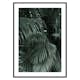 Poster Gallerix Palm Leaf No2