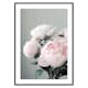 Poster Gallerix Pink peonies No1