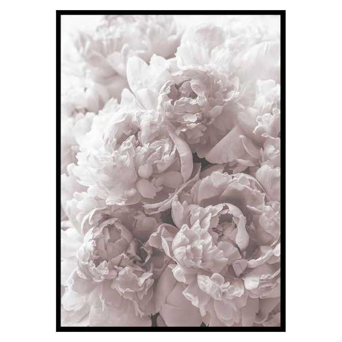 Poster Gallerix Bright Pink Roses No2