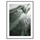 Poster Gallerix Palm Leaf Raindrops