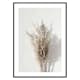 Poster Gallerix Dry Reeds No1