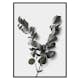 Poster Gallerix Eucalyptus No3