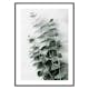 Poster Gallerix Eucalyptus No6