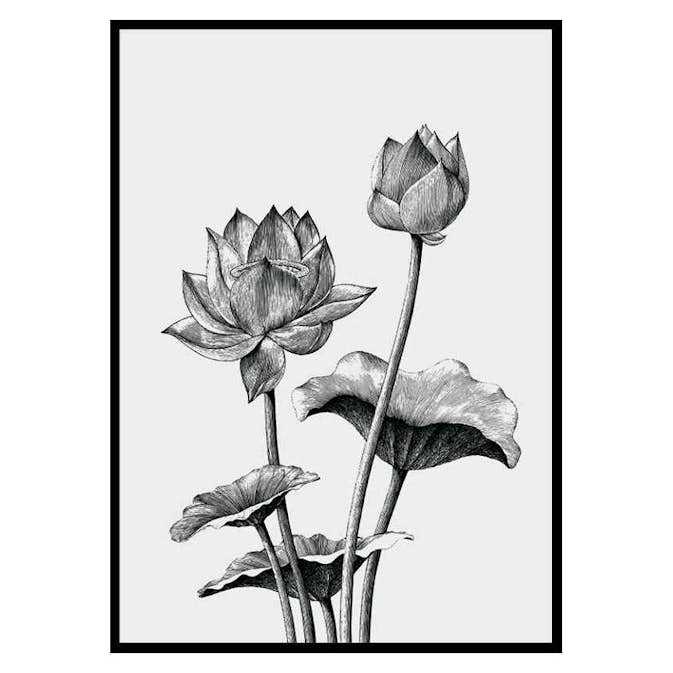 Poster Gallerix Sketched Flowers