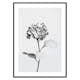 Poster Gallerix White Painted Flower