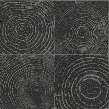 Tapet Origin Tvärsnitt Trädstammar Matt Svart/Silver