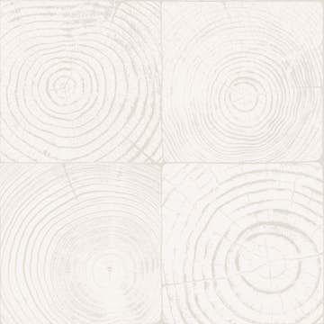 Tapet Origin Tvärsnitt Trädstammar BenVit