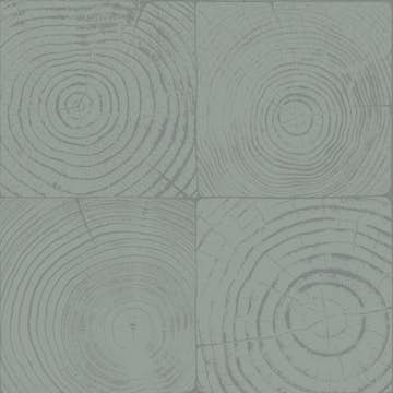 Tapet Origin Tvärsnitt Trädstammar Lagungrön