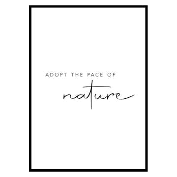 Poster Gallerix Pace Of Nature