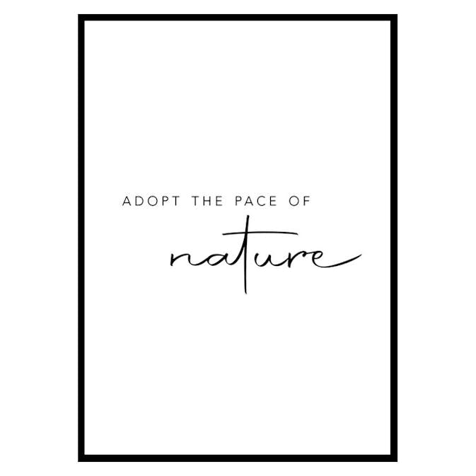 Poster Gallerix Pace Of Nature