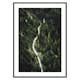 Poster Gallerix Coniferous Forest