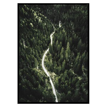 Poster Gallerix Coniferous Forest