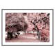Poster Gallerix Pink Trees No1