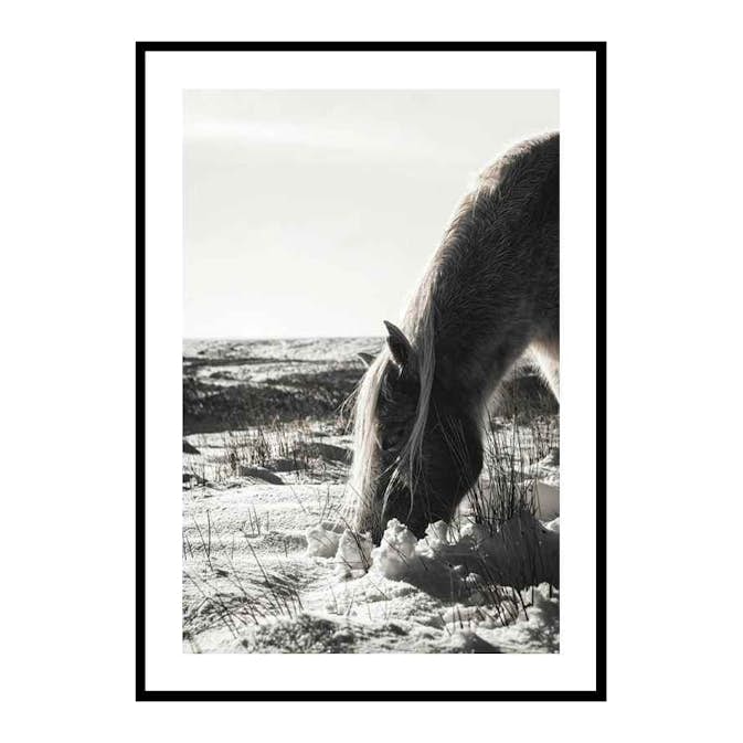 Poster Gallerix Winter Horse