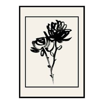Poster Gallerix Black Flowers