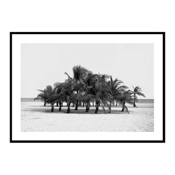 Poster Gallerix Group Of Palms