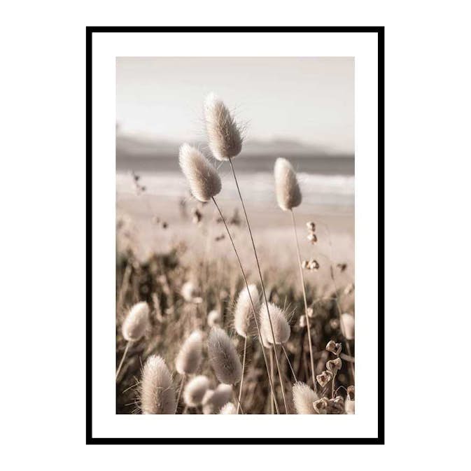 Poster Gallerix Soft Grass