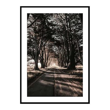 Poster Gallerix Road Amidst Trees