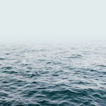 Tapet Living walls The Wall 38258-1