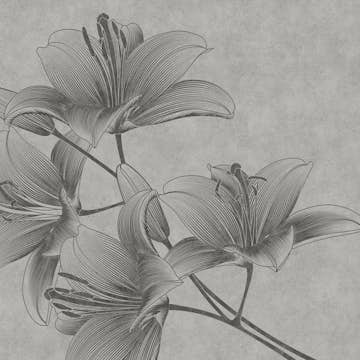 Tapet Living walls The Wall 38278-1