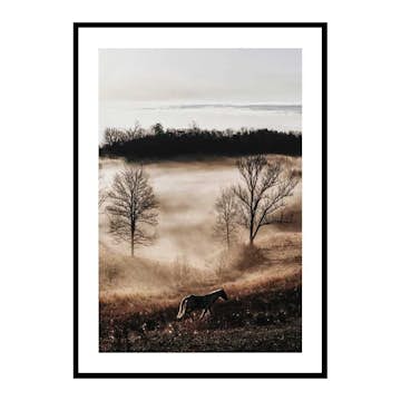 Poster Gallerix Horse In Sunset