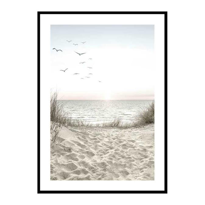 Poster Gallerix Seagulls Sandy Beach