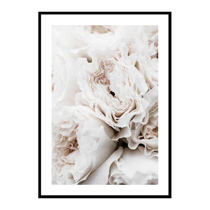 Poster Gallerix Blossoming Roses
