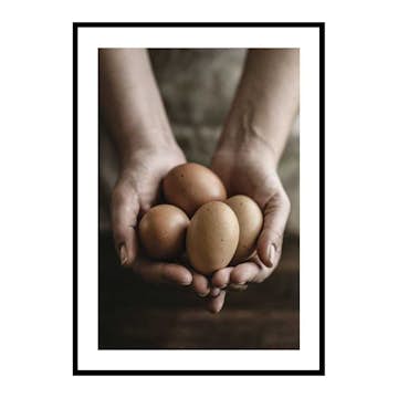 Poster Gallerix Free Range Eggs