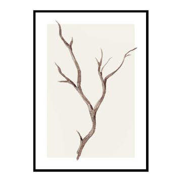 Poster Gallerix Branch