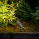 Markbelysning Gardenlights Minus Spotlight LED Varmvit